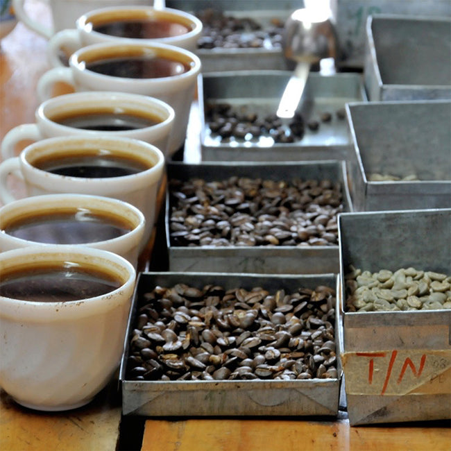 Six white mugs with coffee, silver metal coffee trays with coffee beans