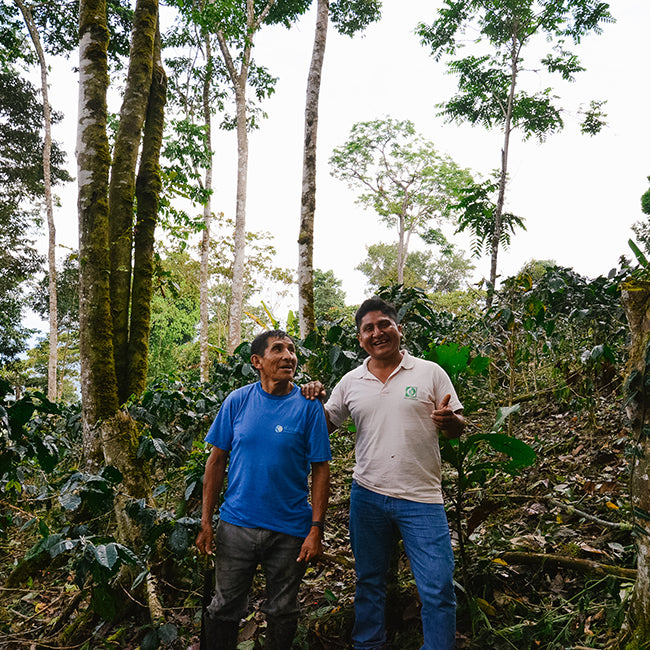 Two men standing in forest
