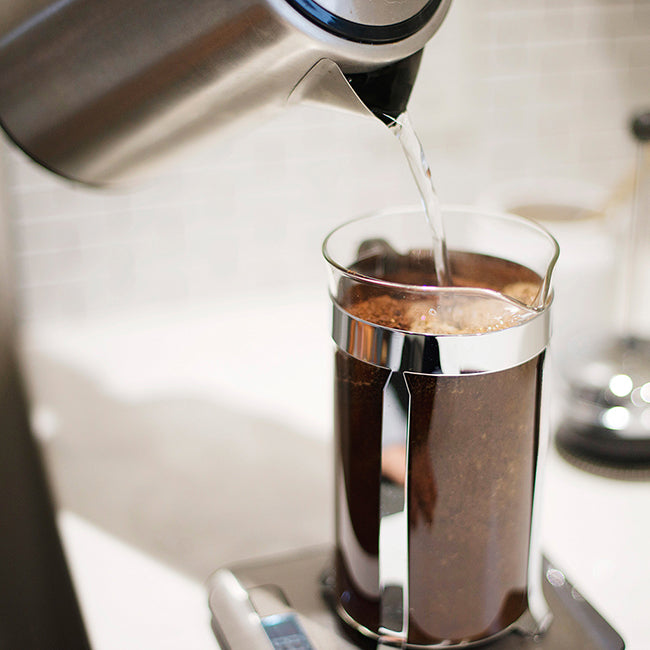 How to Brew French Press Coffee - Coffee 101