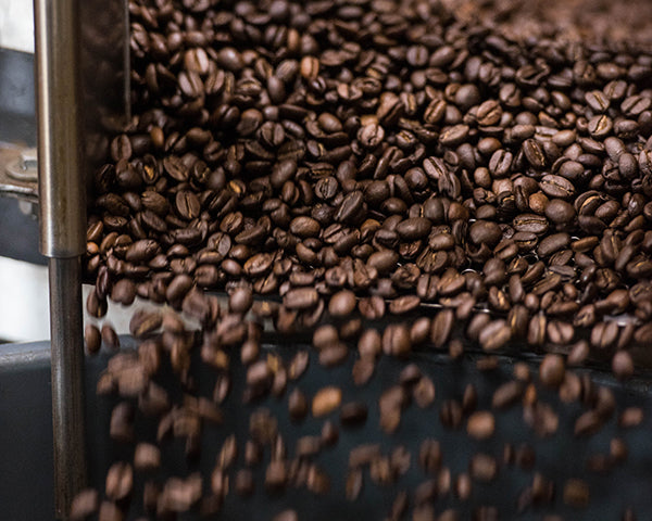 Honduras Single Origin 5lb box - Level Ground