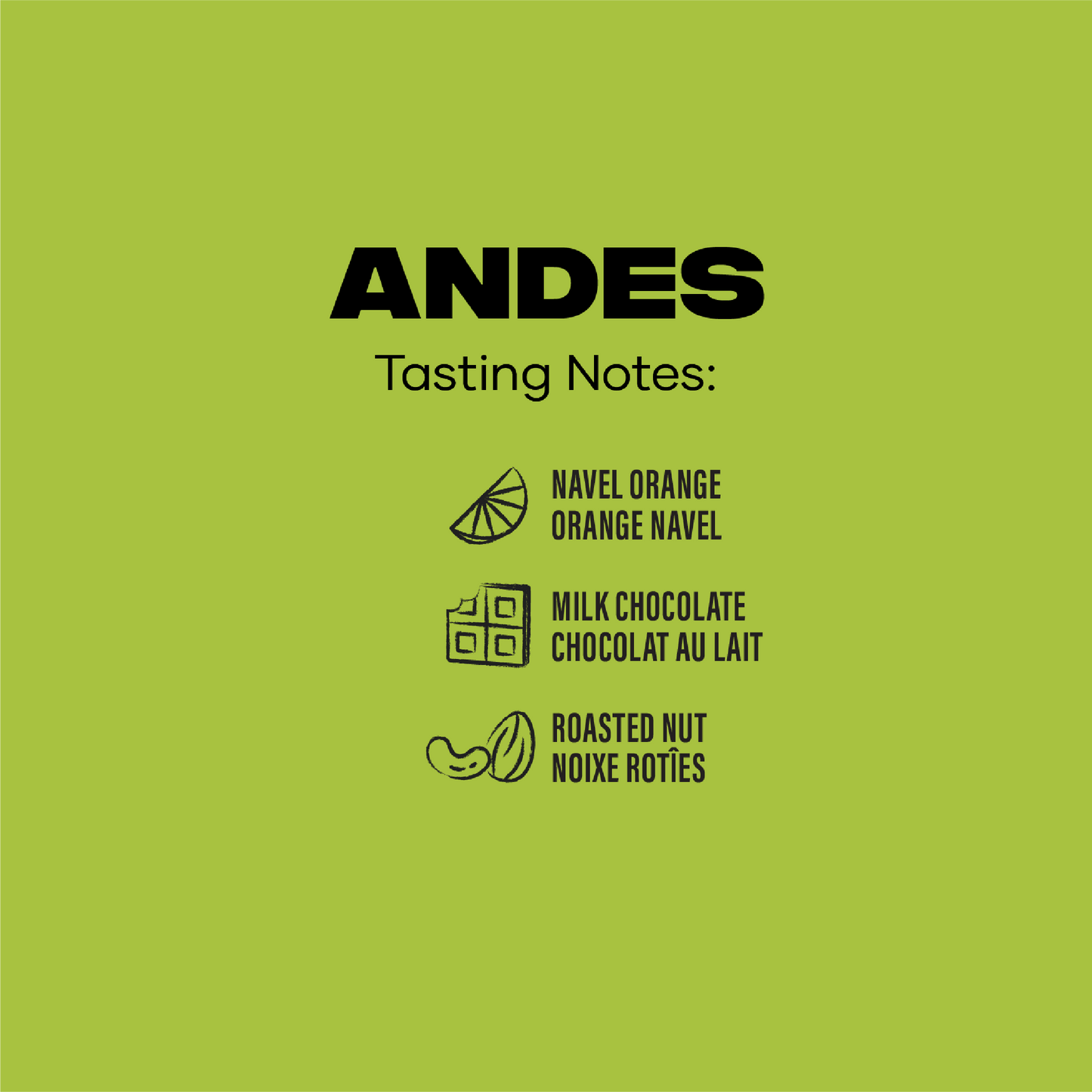 
                  
                    ANDES
                  
                