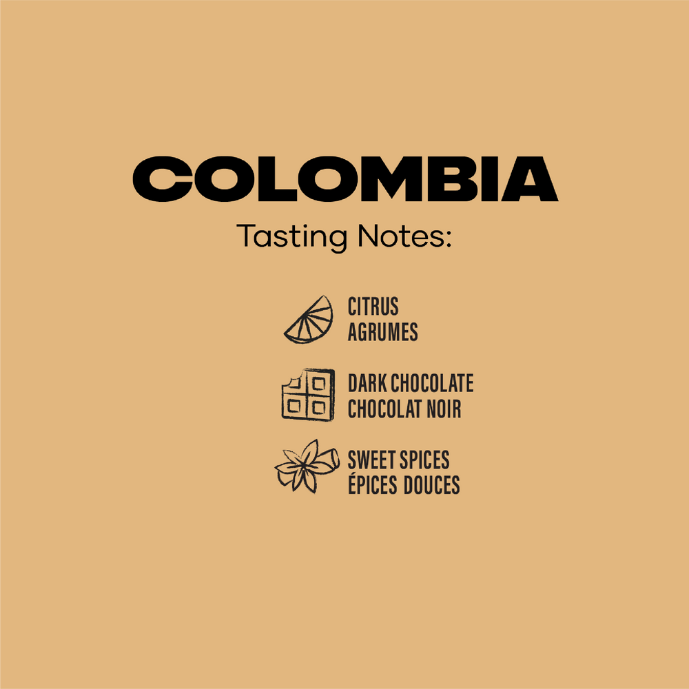 Colombia Fair Trade Coffee - Single Origin | Level Ground Trading