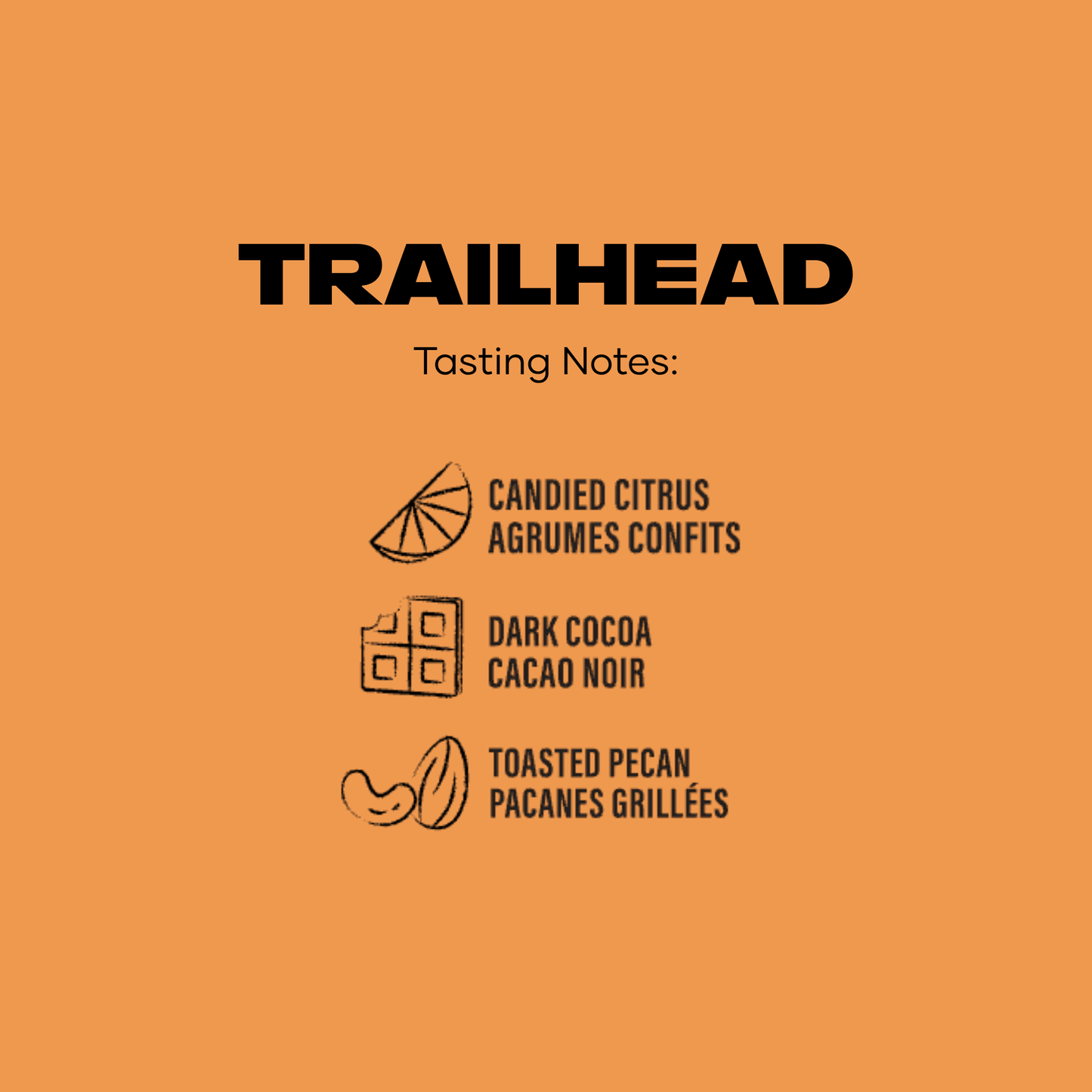 
                  
                    Trailhead
                  
                